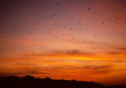 sunset indonesia