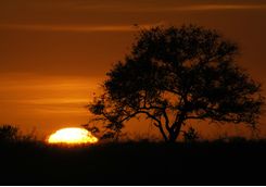 Sunrise on safari