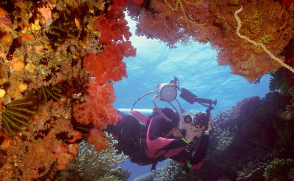 beqa lagoon fiji