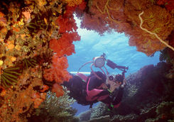 beqa lagoon fiji