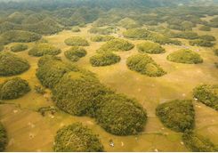 chocolate hills