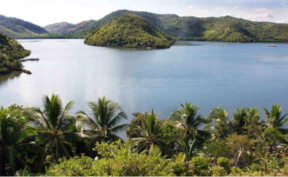jungle islands