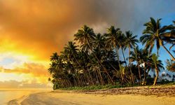 Beach Sunset