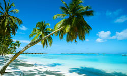 Bahamas Beach