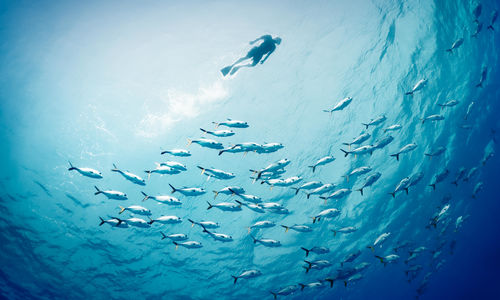 Deep sea diving from below