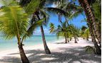 andros beach