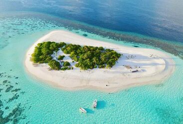 Drift Diving In The Maldives