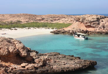 boat at Dimaniyat islands