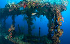 wreck in Palau